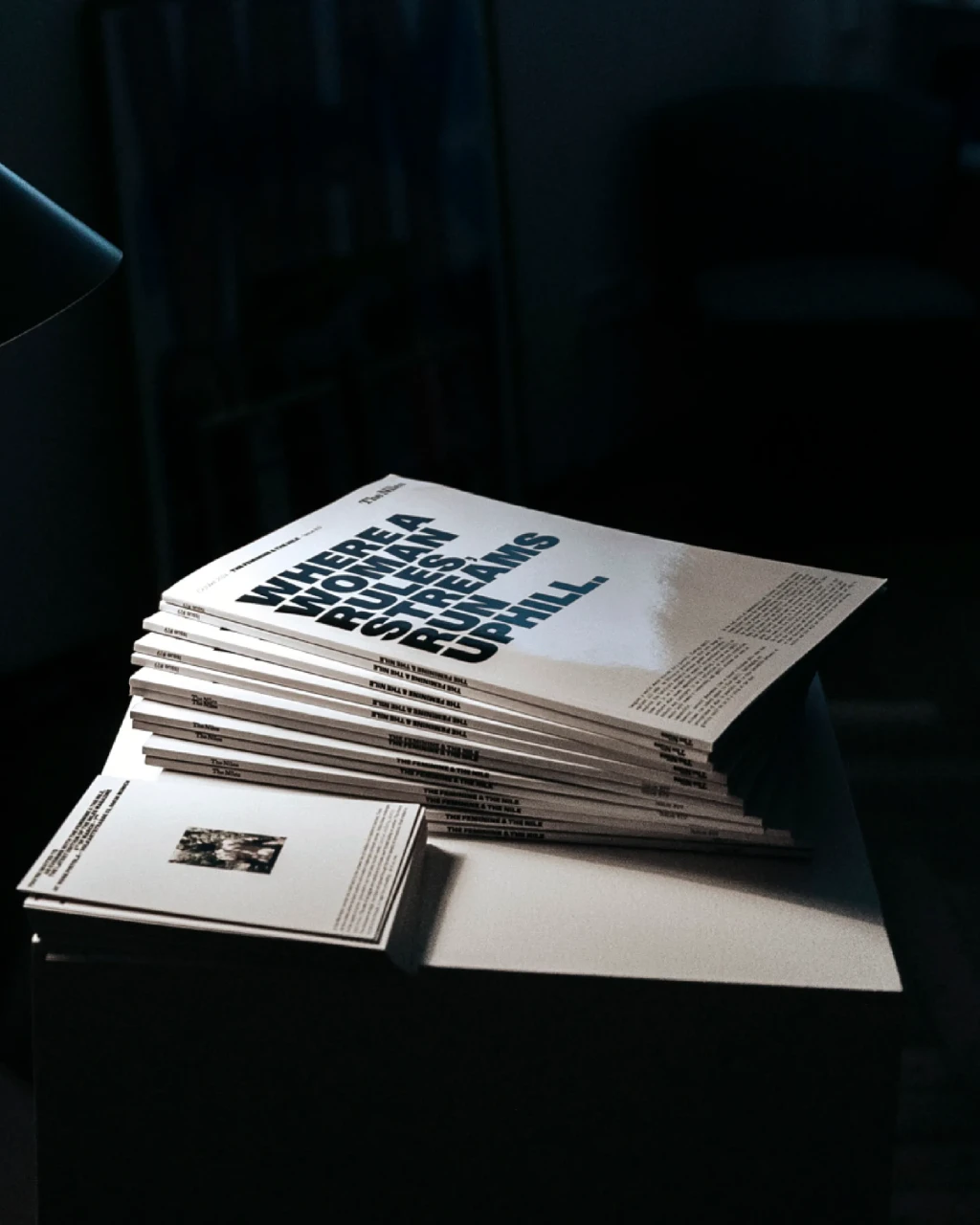 Ein Stapel von "The Niles" Magazinen mit großer Typografie auf dem Cover vor einem schwarzen Hintergrund